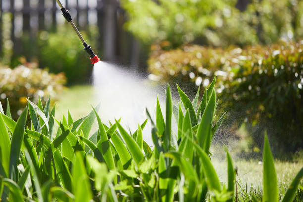 24/7 Emergency Termite Control experts in Cape Girardeau, MO