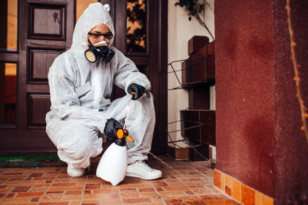 Reliable Termite Control contractor in Cape Girardeau, MO by Nex Pest Control